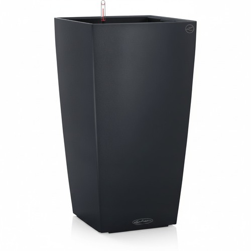 Self watering plant pot - plant,