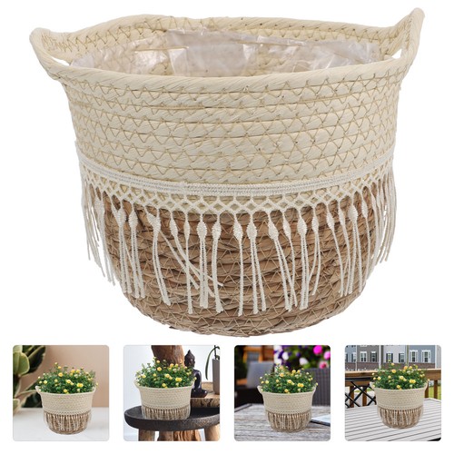 Reusable indoor plant - reusable,