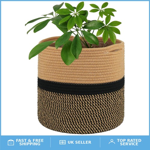 30cm cotton plant - , with