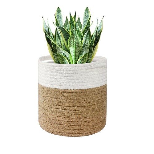 30cm plant pot with - pot,
