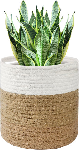 Tenn well 30cm - tenn, pot