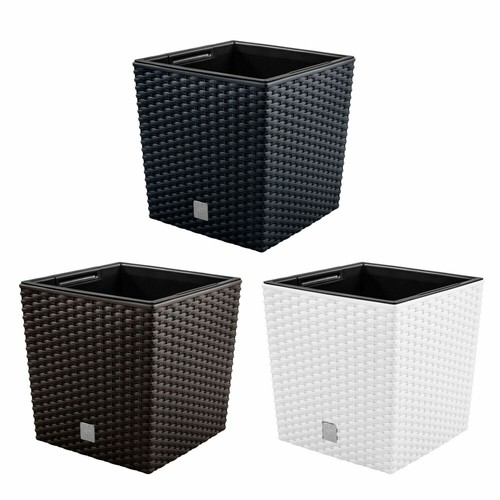 Flower pot planter with - flower,