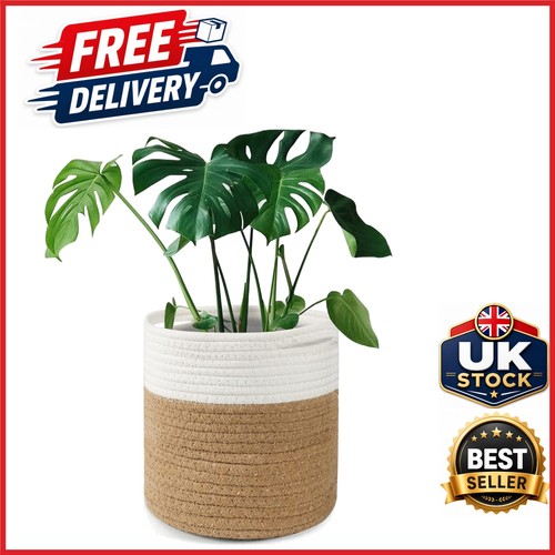 20cm cotton plant pot - 20cm,