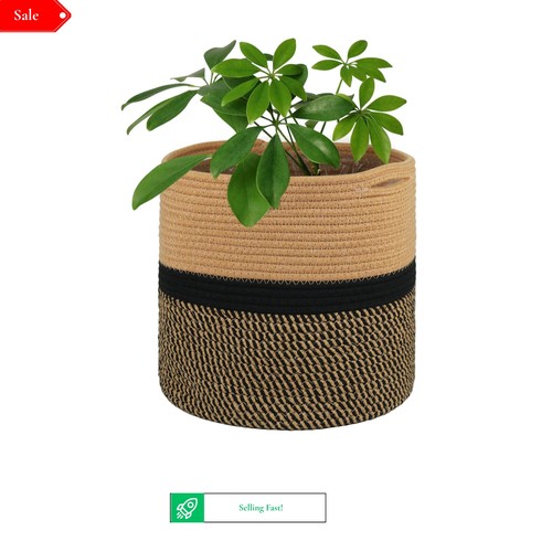 30cm indoor plant pot with - plant,