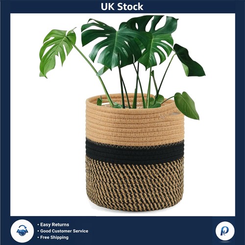 Modern reinforced 20cm plant - reinforced,