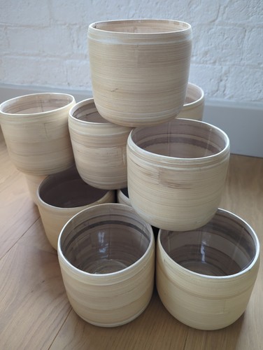 Plant pots bamboo with - plant,