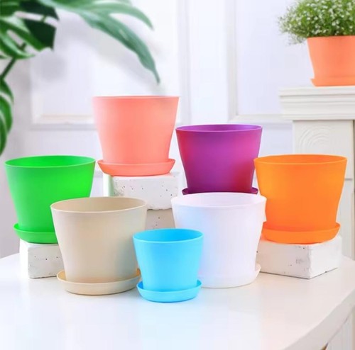 Plant flower pot plastic - plant,