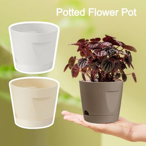 With handle lazy plant pot - handle,
