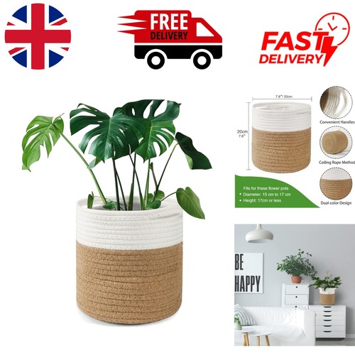 Stylish 20cm indoor - 20cm, pot