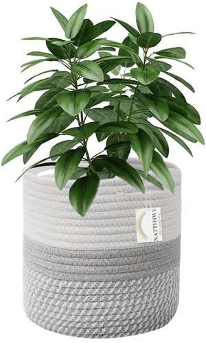Plant basket with liner - with,