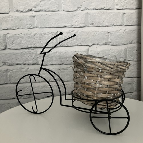 Plant pot bicycle metal and - plant,