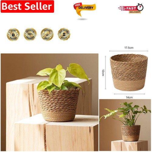 Woven plant pot - woven,
