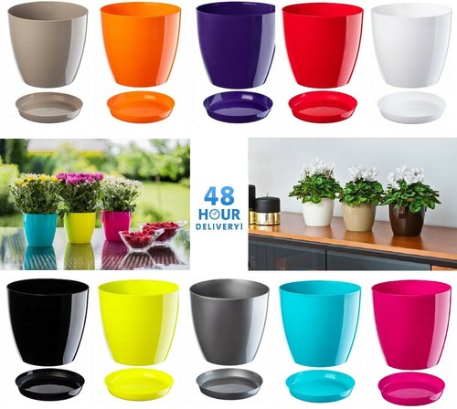 Plant flower pot plastic - plant,