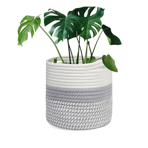 20cm plant pot with - pot,