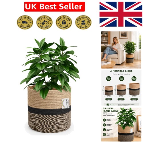 Luxury indoor woven - luxury, pot